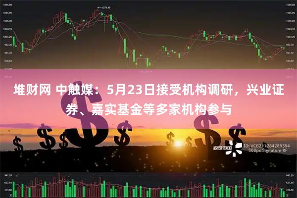堆财网 中触媒：5月23日接受机构调研，兴业证券、嘉实基金等多家机构参与