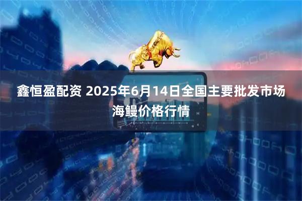 鑫恒盈配资 2025年6月14日全国主要批发市场海鳗价格行情