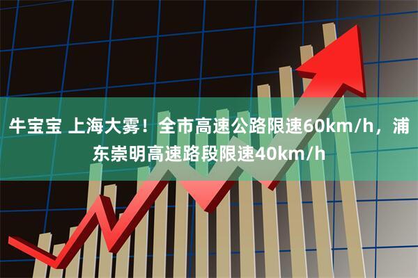 牛宝宝 上海大雾！全市高速公路限速60km/h，浦东崇明高速路段限速40km/h