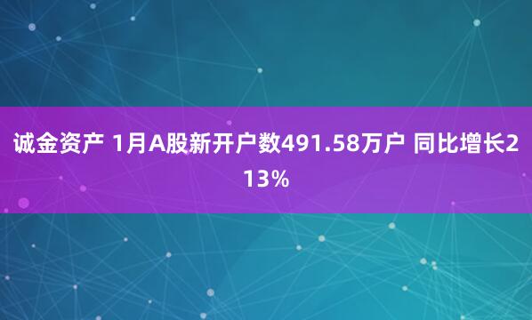诚金资产 1月A股新开户数491.58万户 同比增长213%