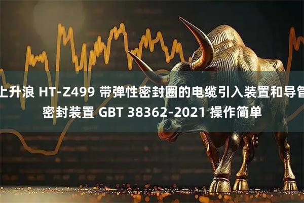 上升浪 HT-Z499 带弹性密封圈的电缆引入装置和导管密封装置 GBT 38362-2021 操作简单