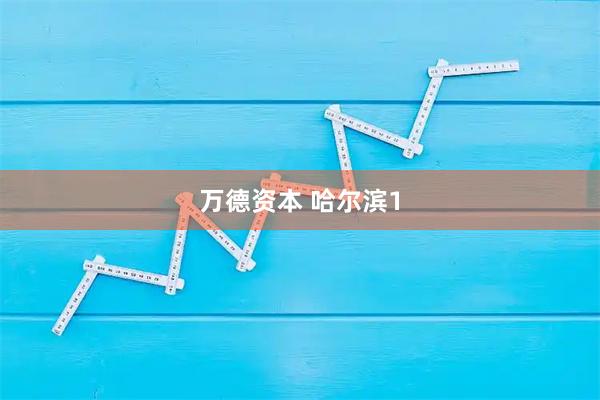 万德资本 哈尔滨1