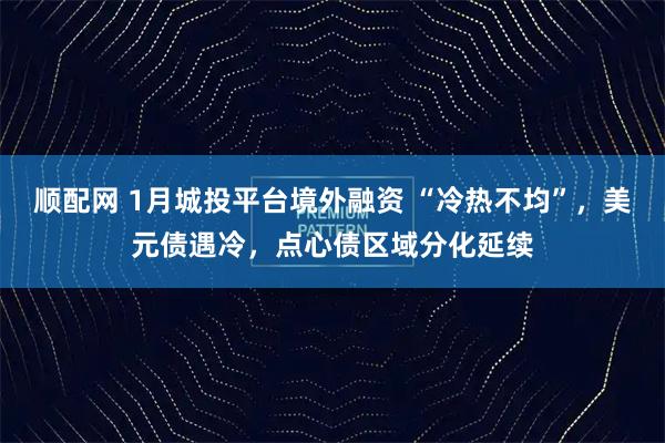 顺配网 1月城投平台境外融资 “冷热不均”，美元债遇冷，点心债区域分化延续